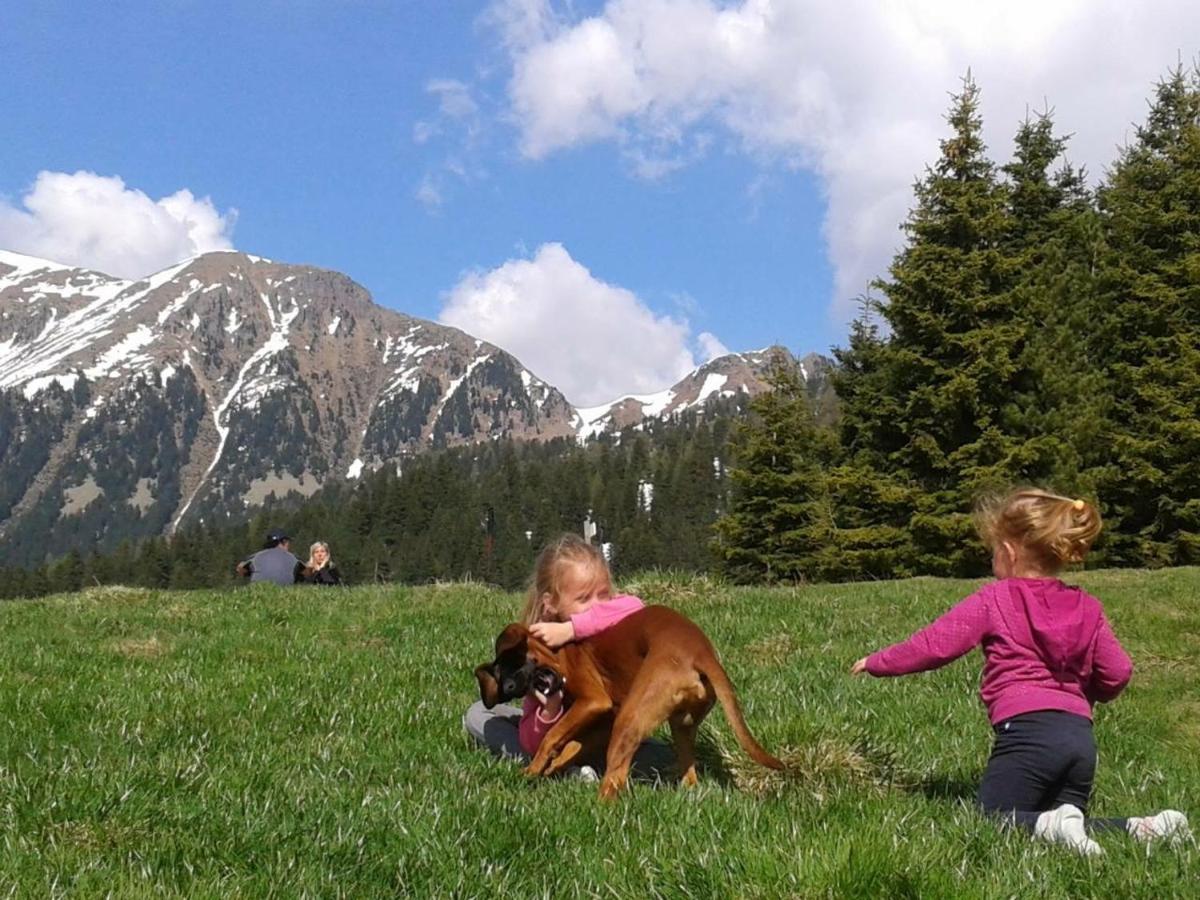 B&B Relais Dolomiti Bedollo Esterno foto